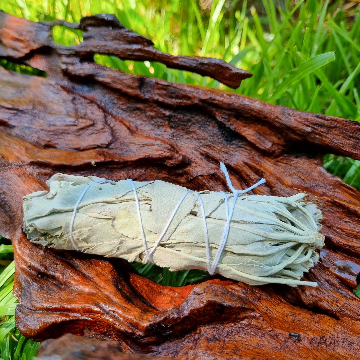 White Sage - Small