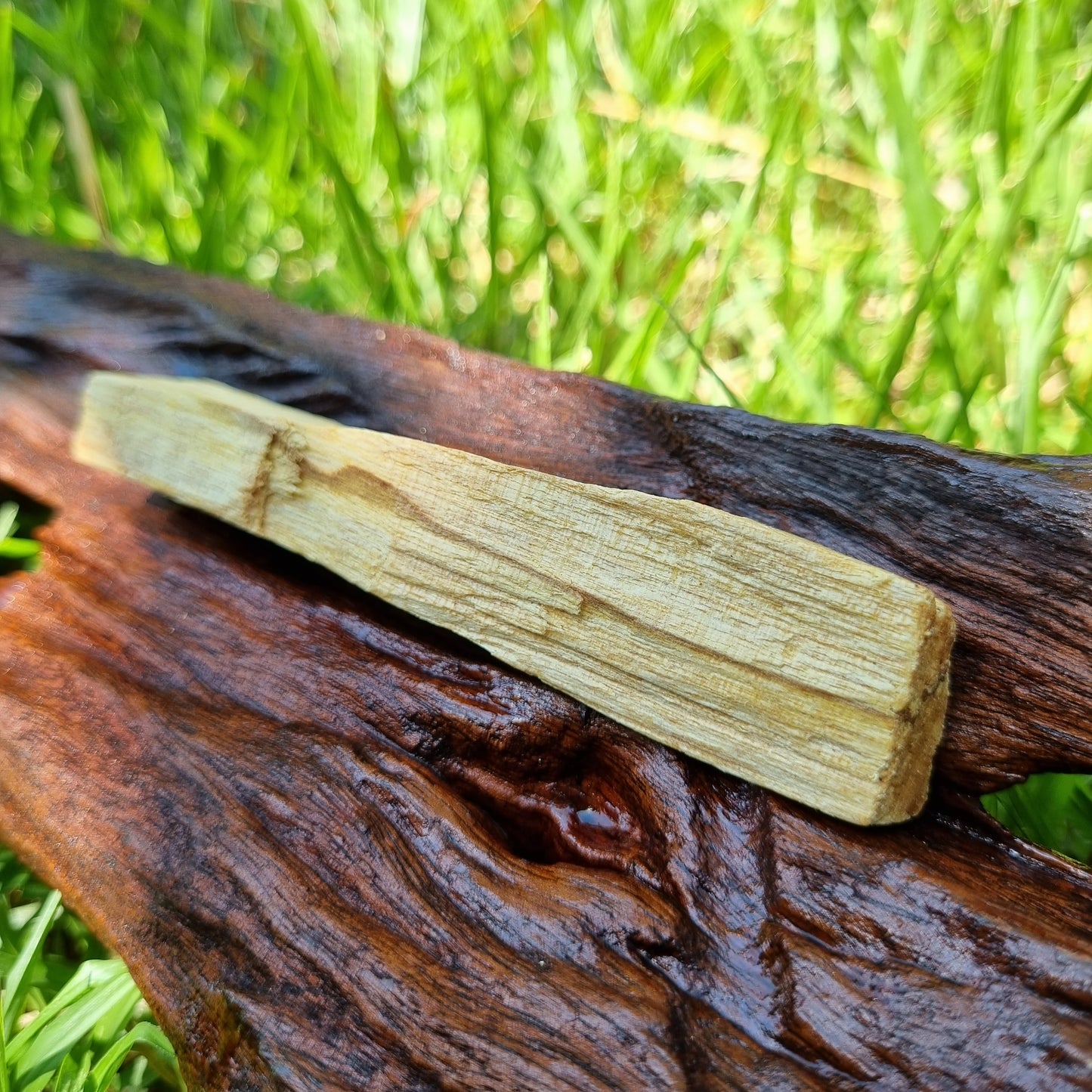 Protection Smudge Kit