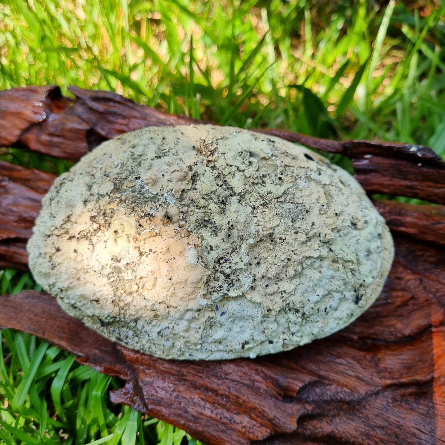 Grounding Smudge Kit