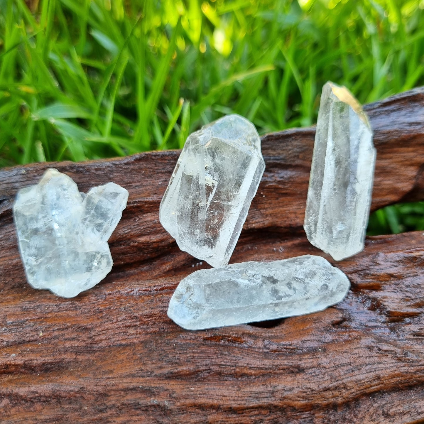Clear Quartz Terminated Points Rough