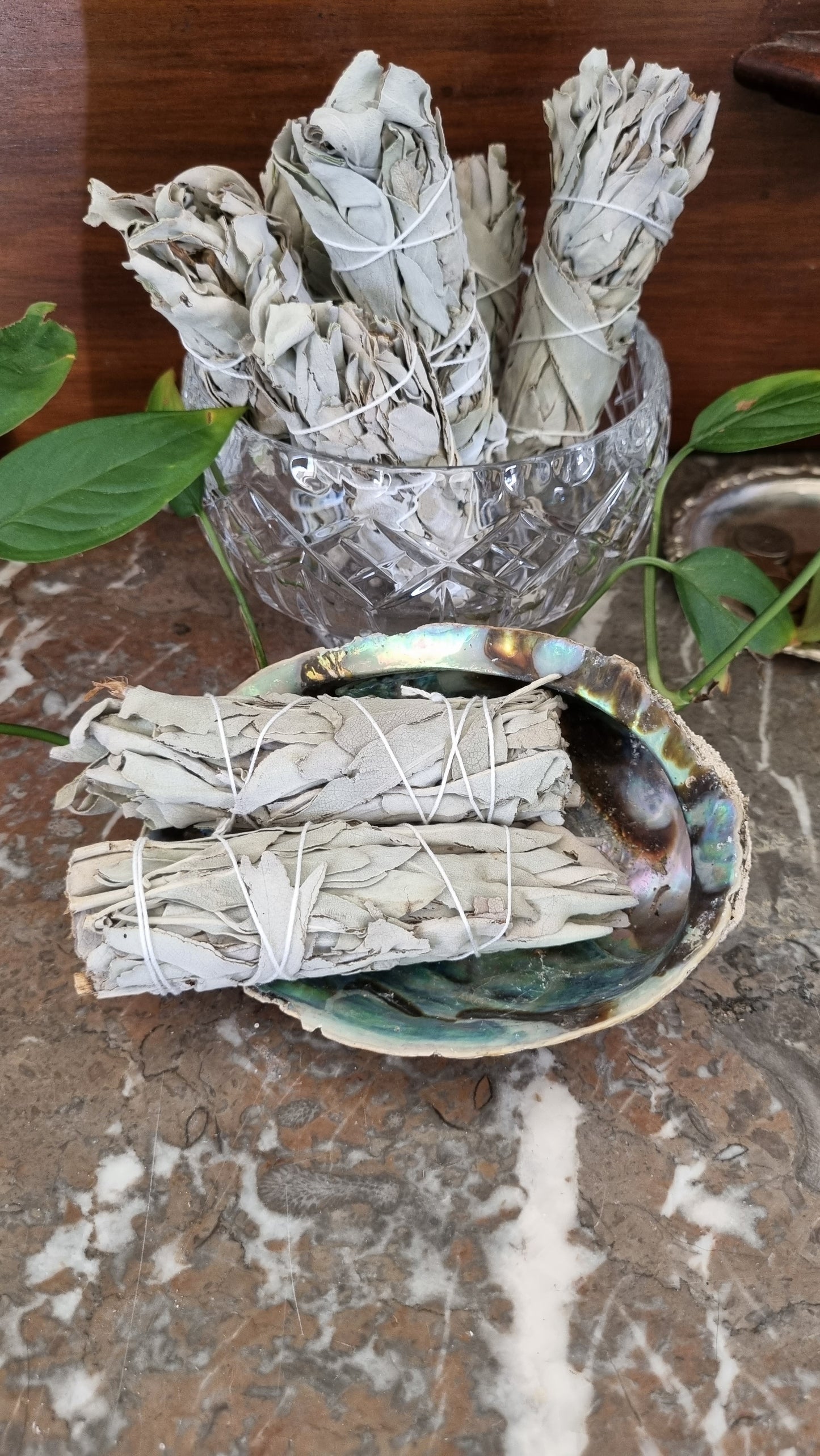 White Sage - Small