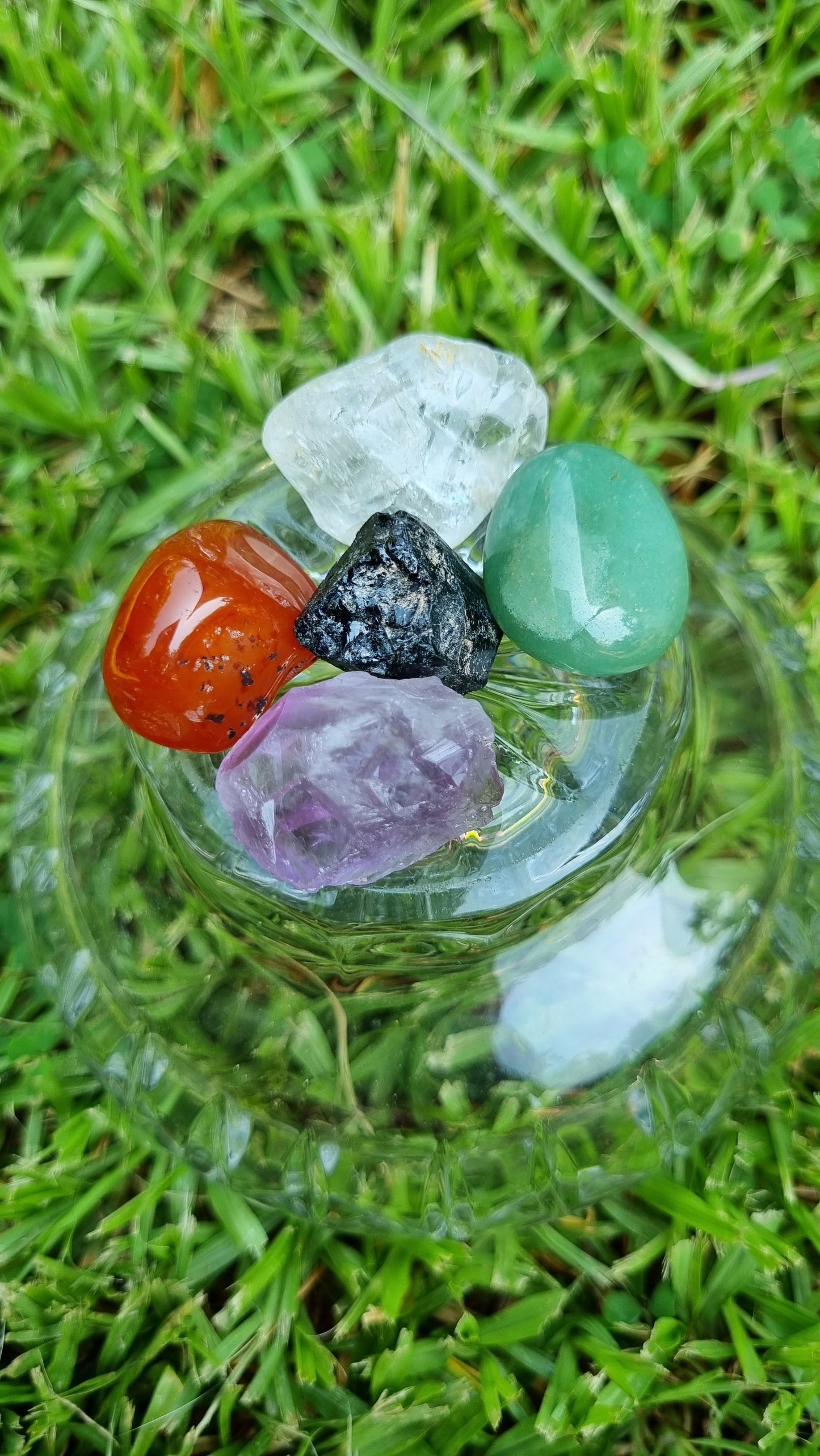 Immunity Pack