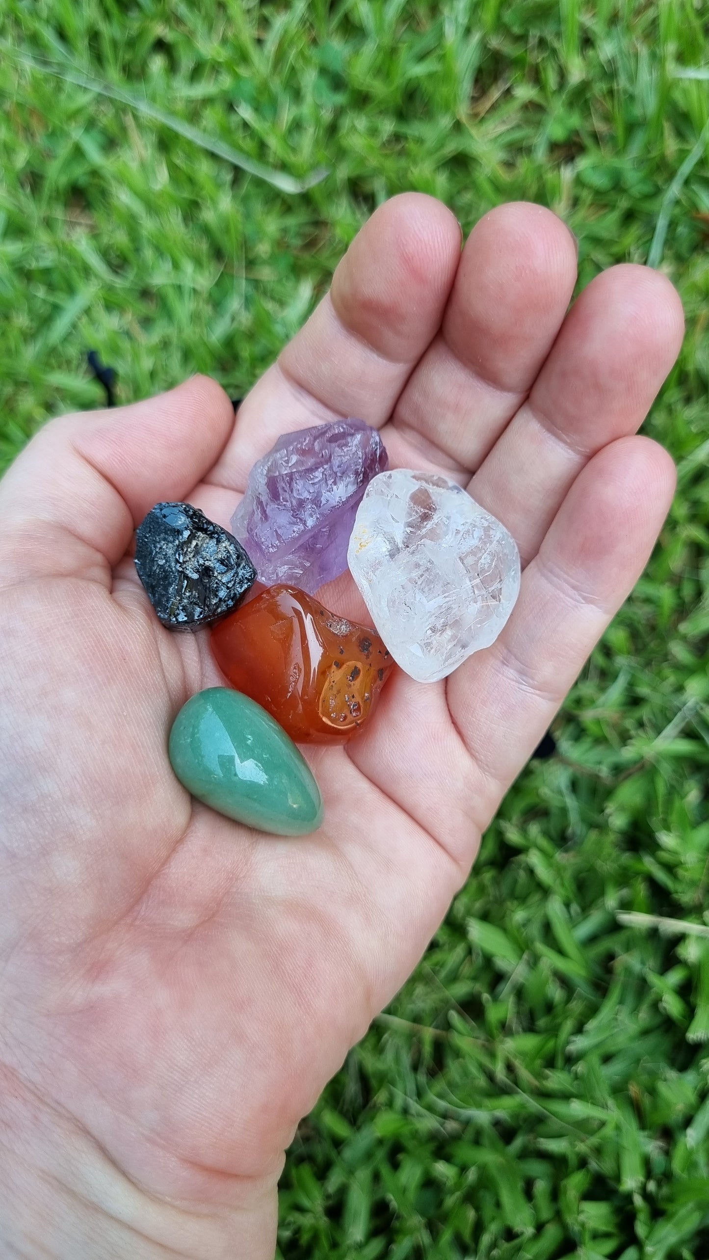 Immunity Pack