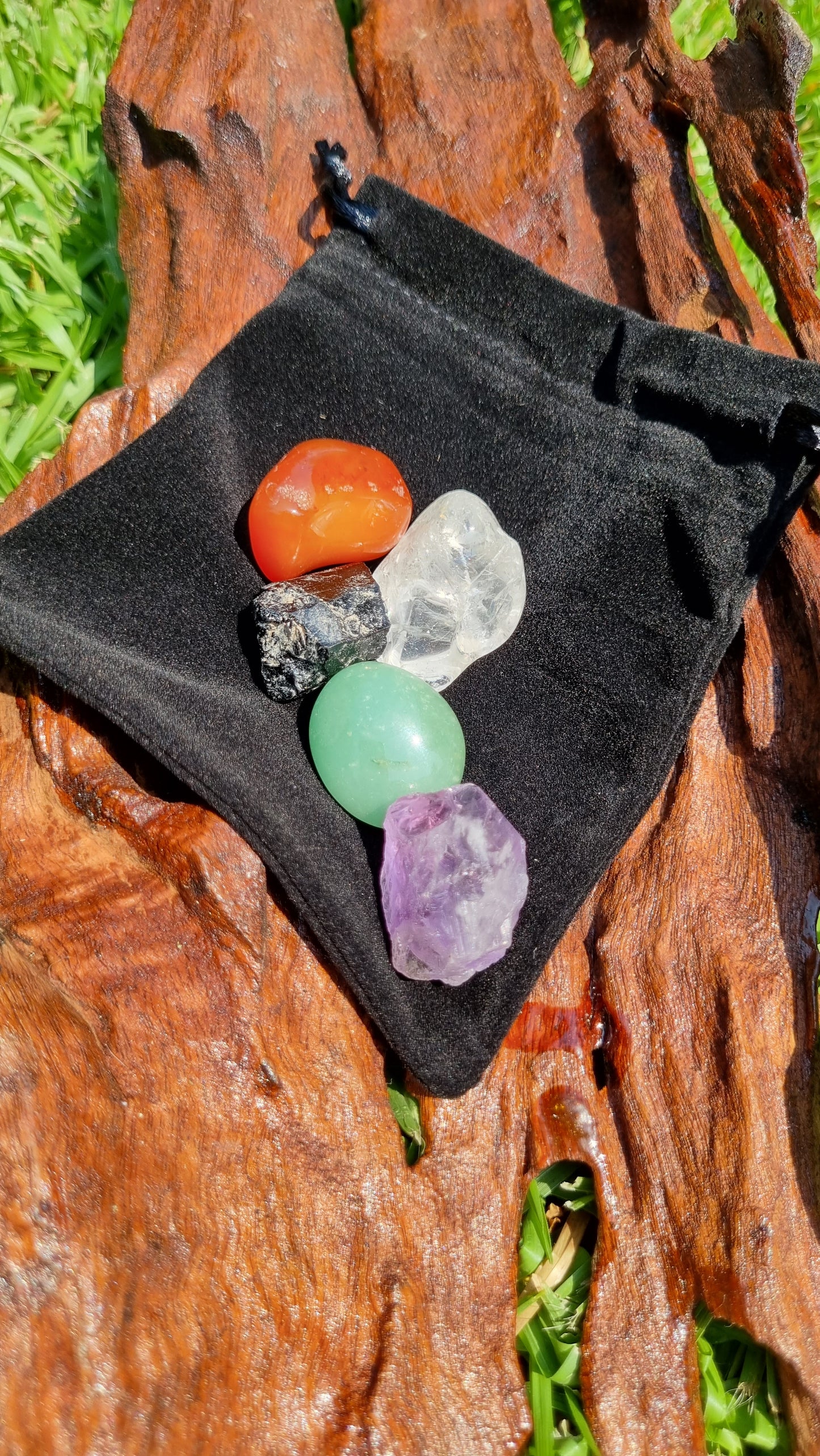 Immunity Pack