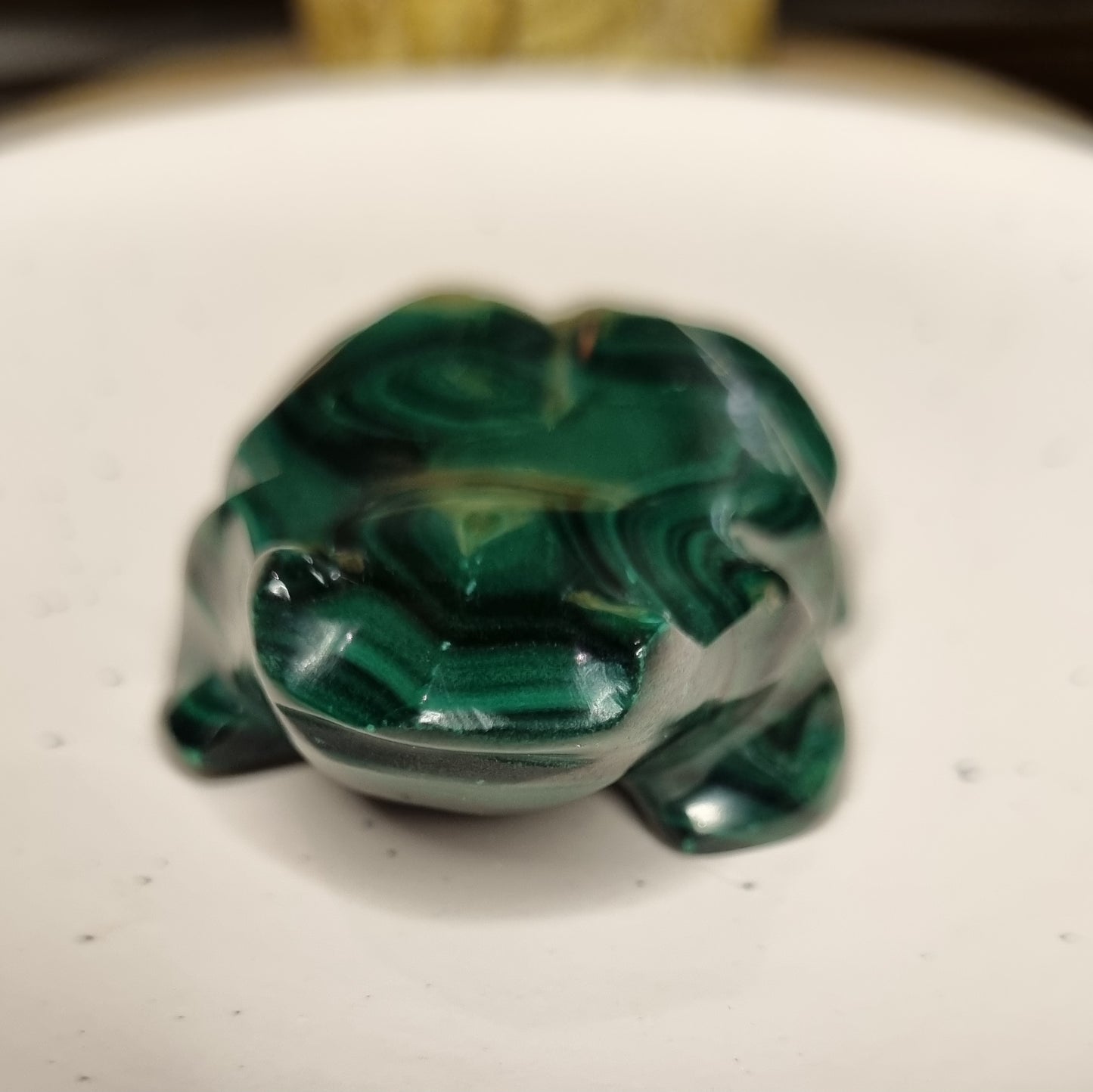 Malachite Frog
