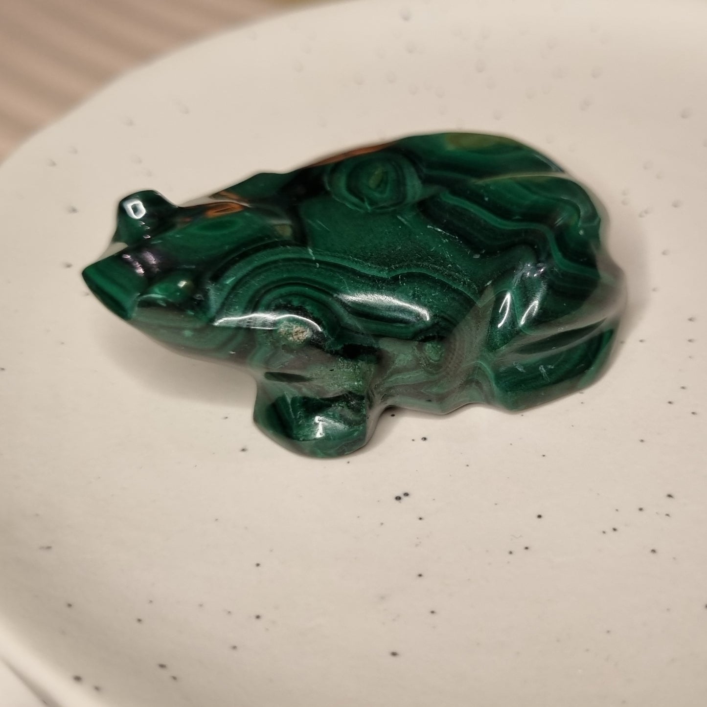 Malachite Frog