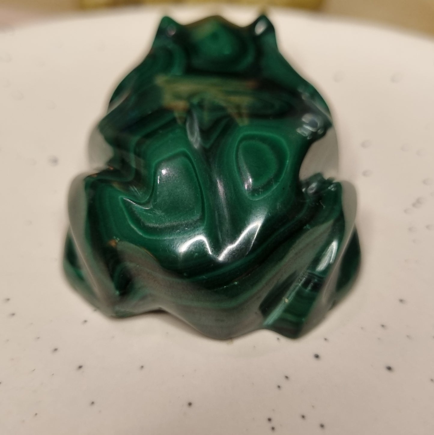Malachite Frog