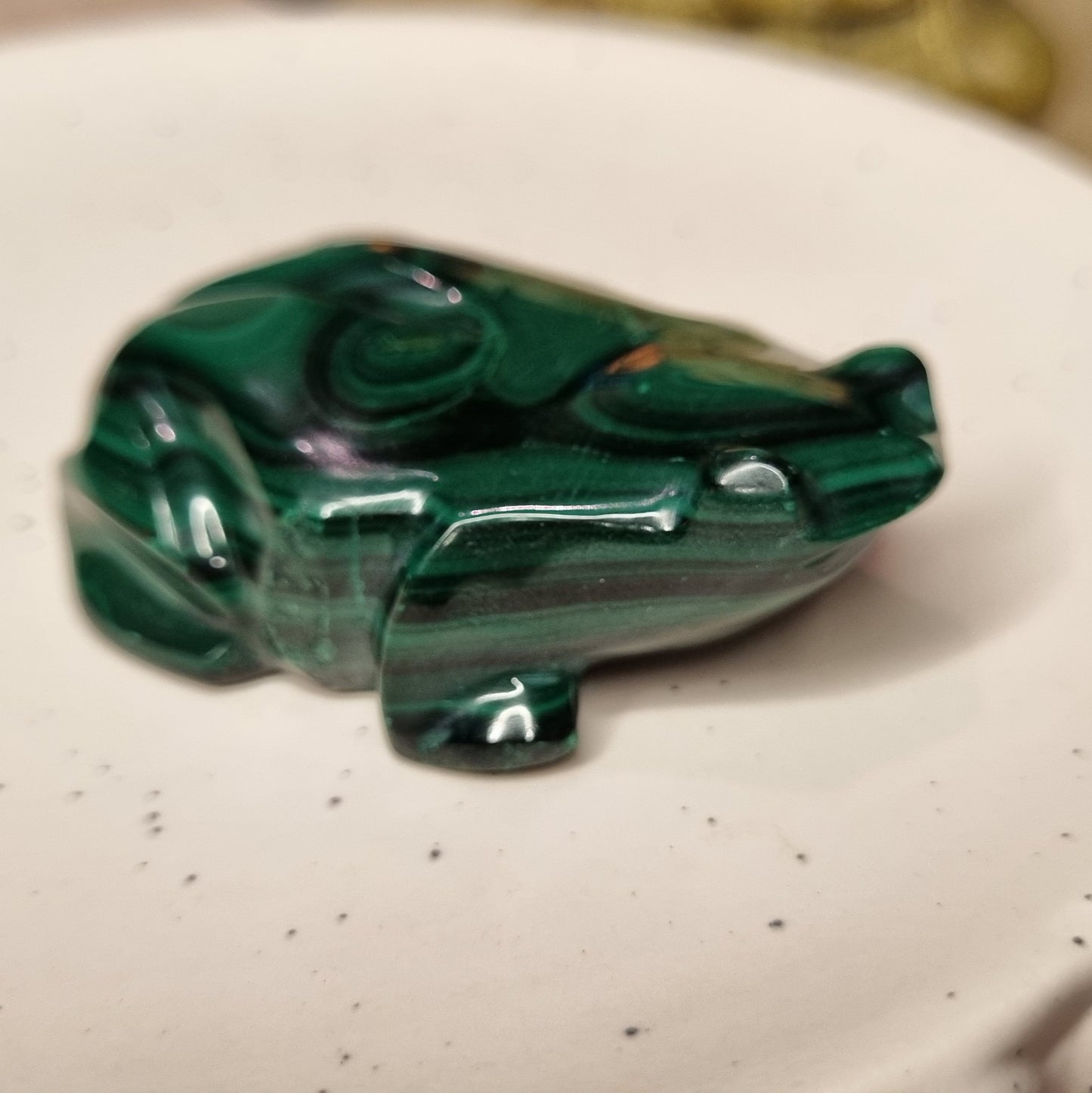 Malachite Frog