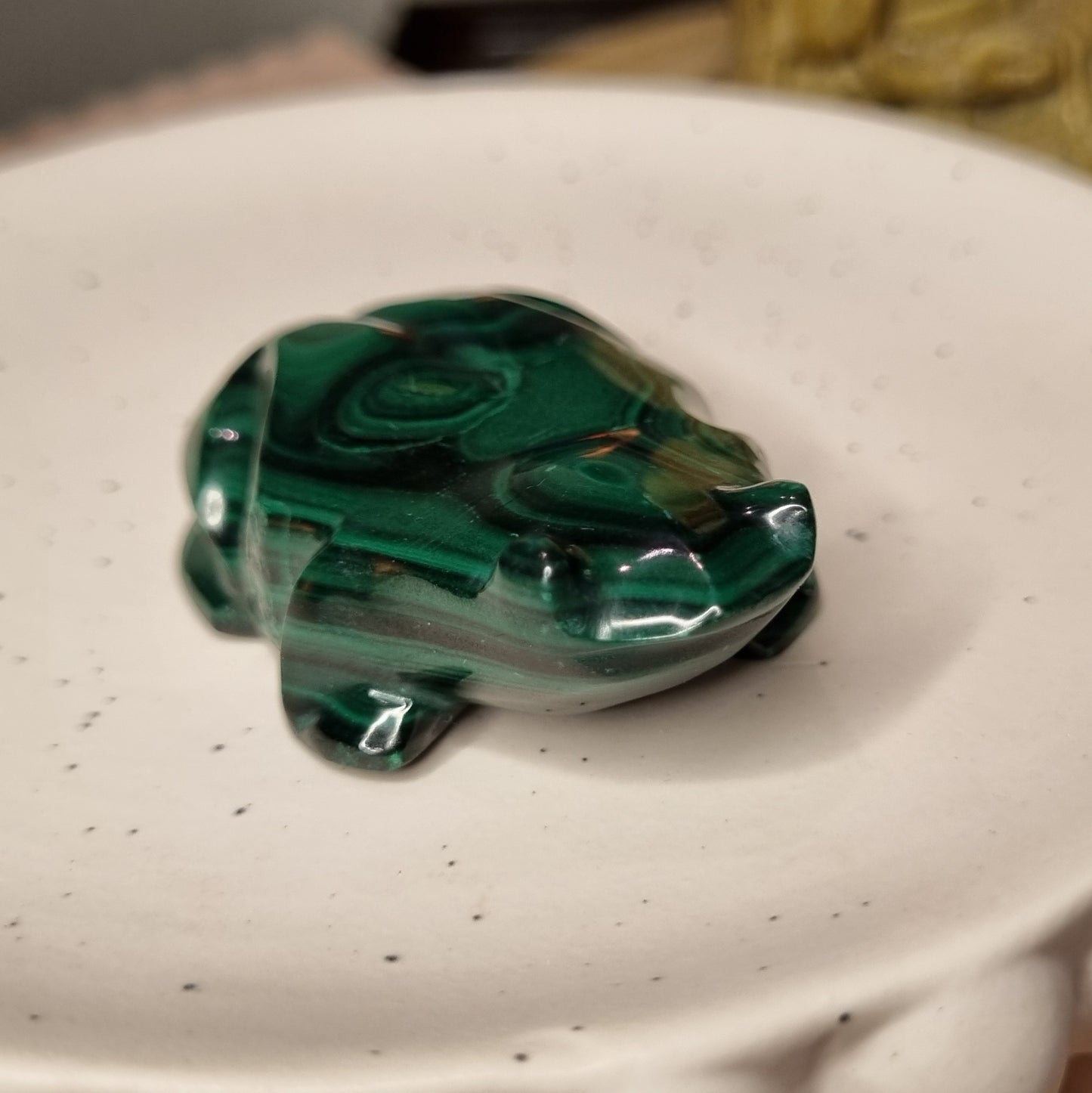 Malachite Frog