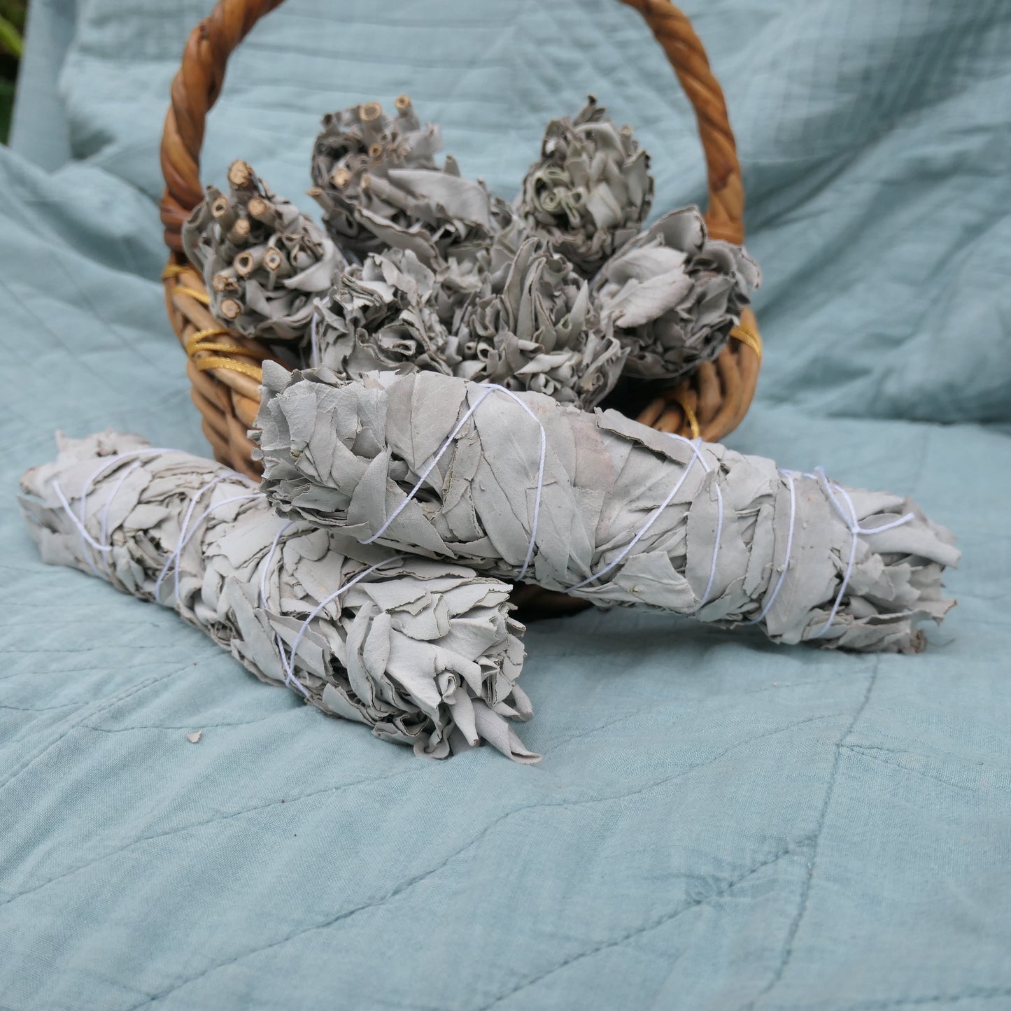 White Sage - Large