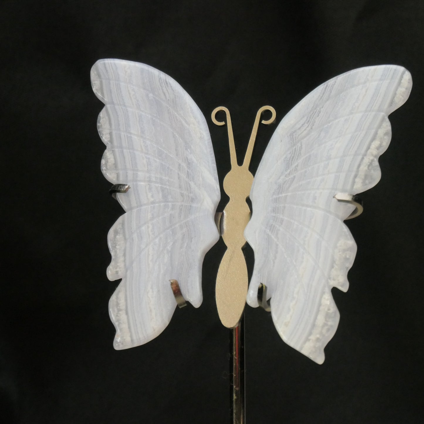 Blue Lace Agate Butterfly Wings