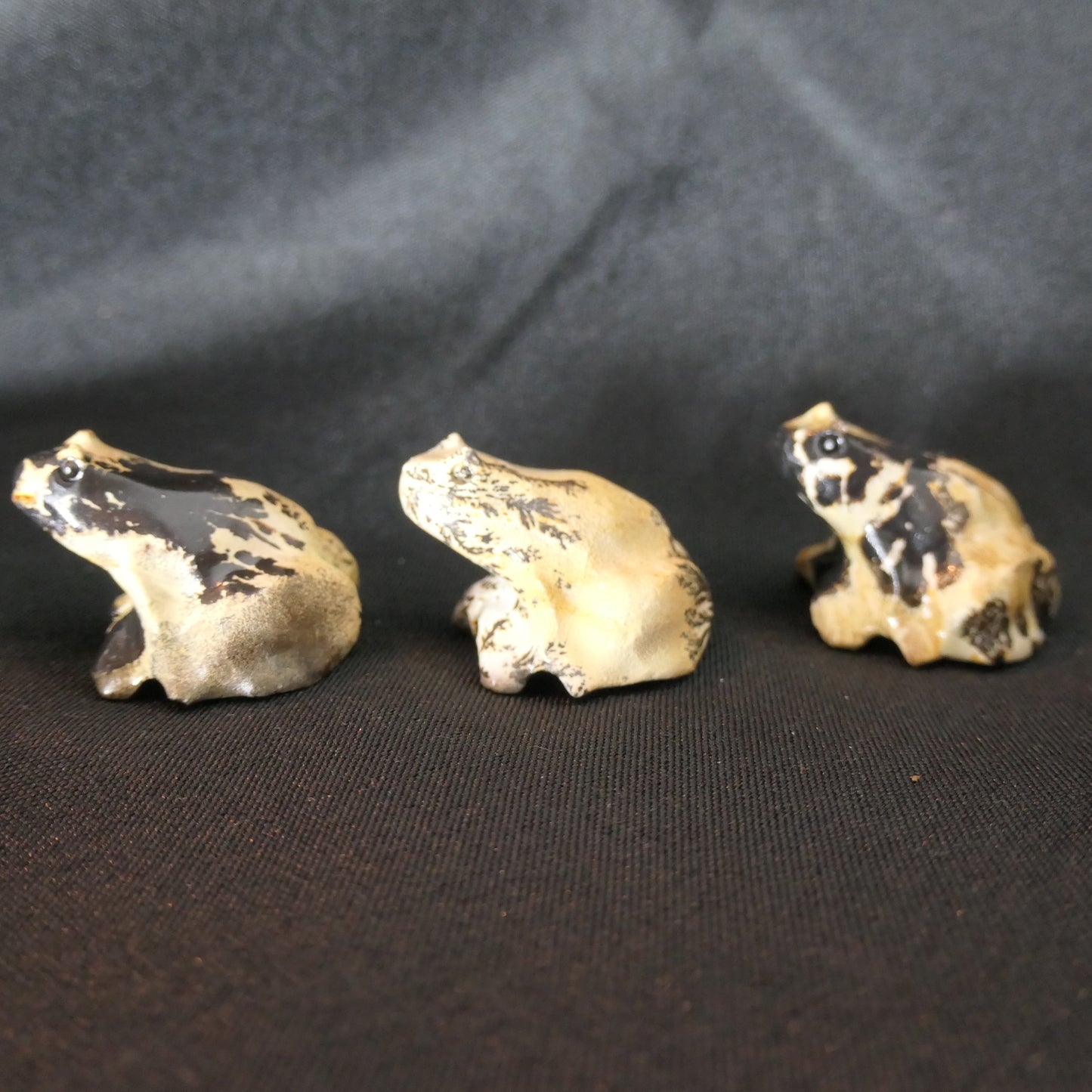 Picture Japser Frogs