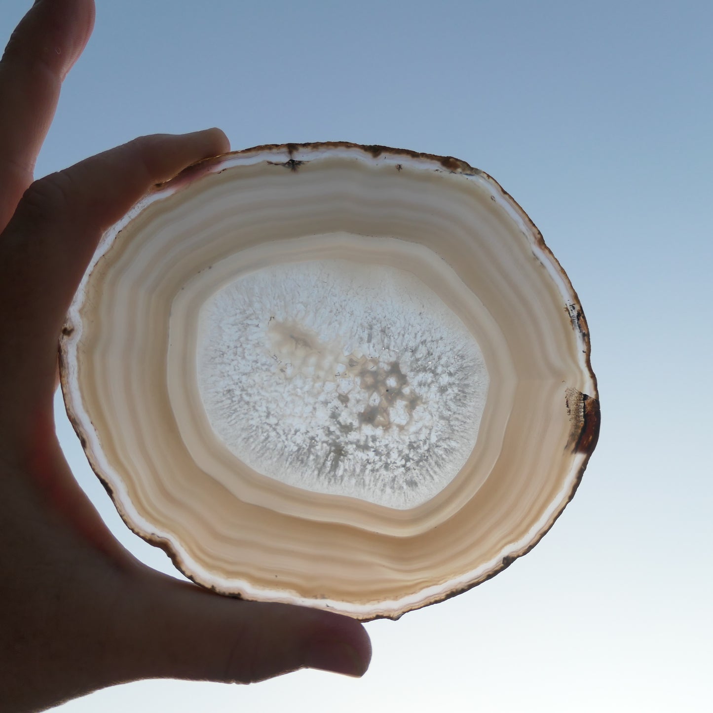 Agate Slices Natural - Large