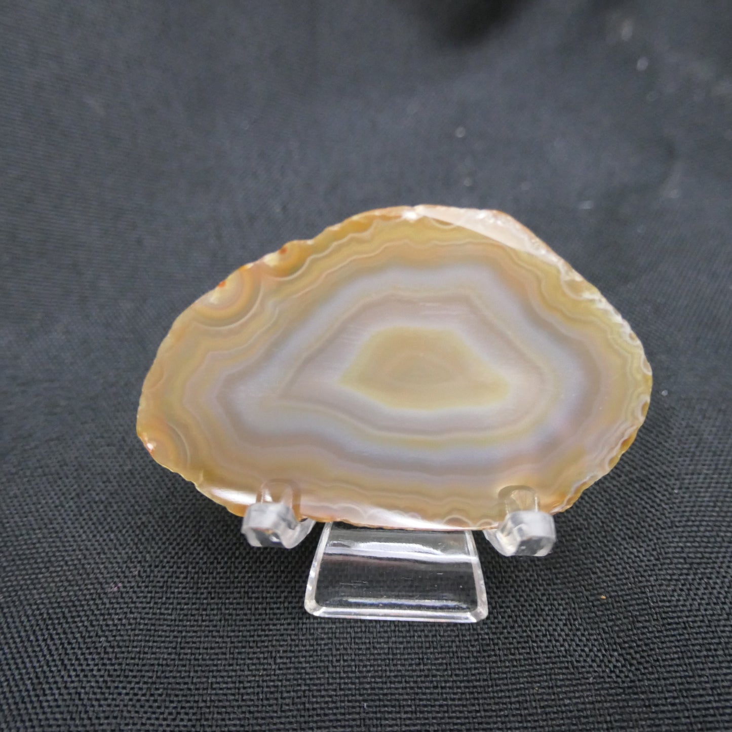 Agate Slices Natural - small