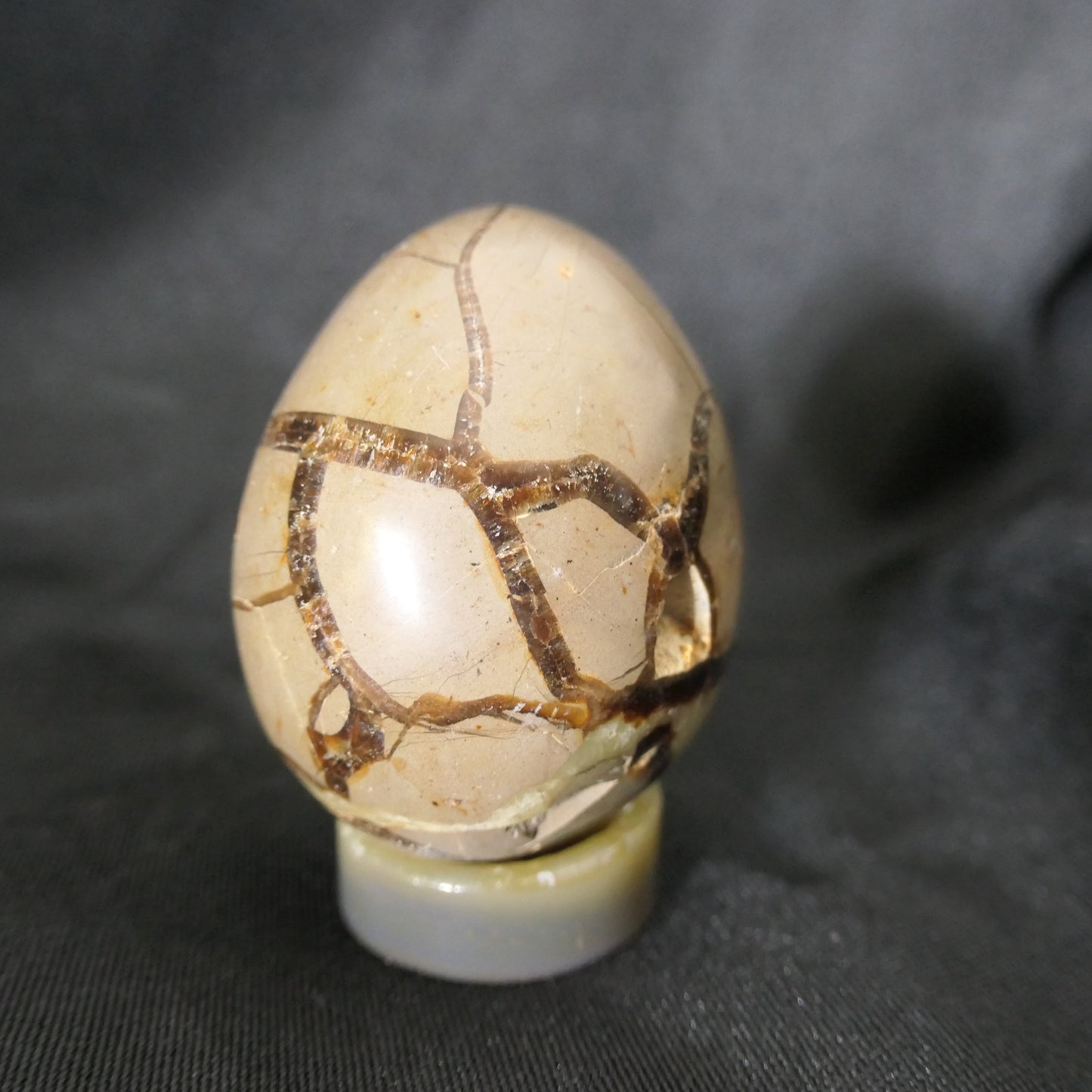Septarian Egg - Small 01