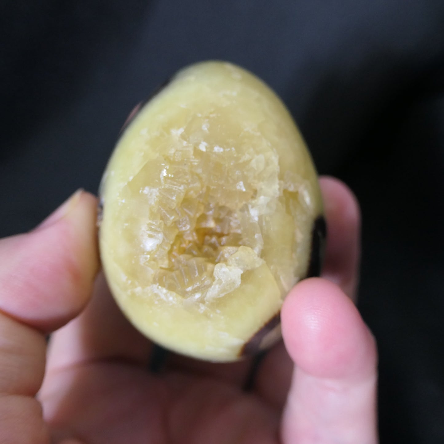 Septarian Egg - Small 01