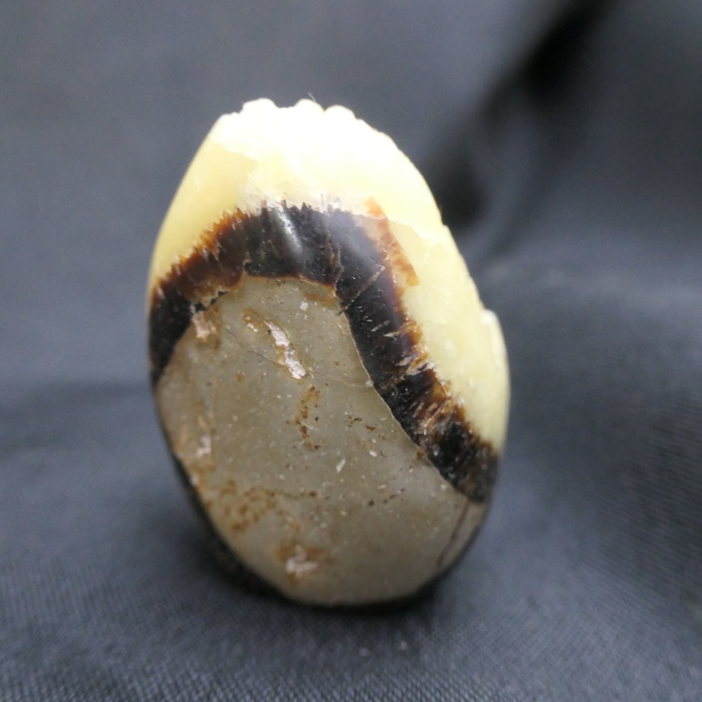 Septarian Egg - Small 02