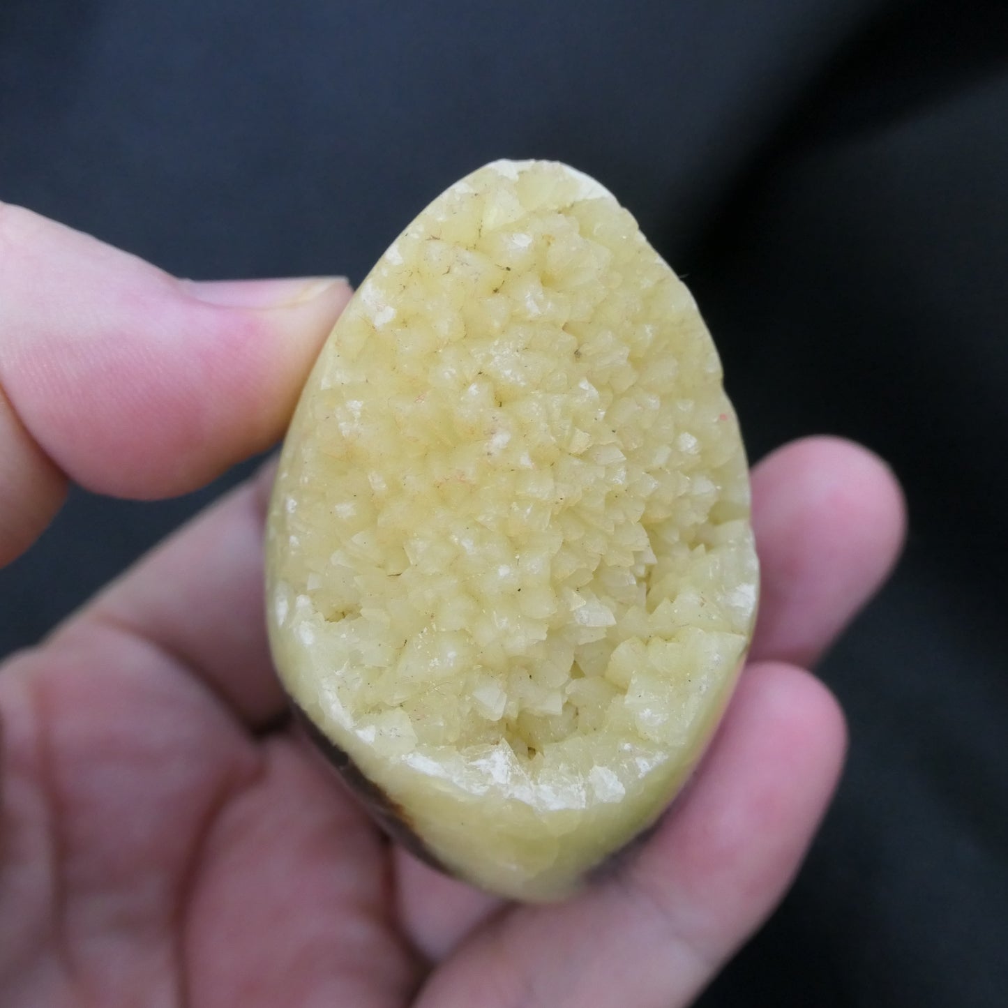 Septarian Egg - Small 02