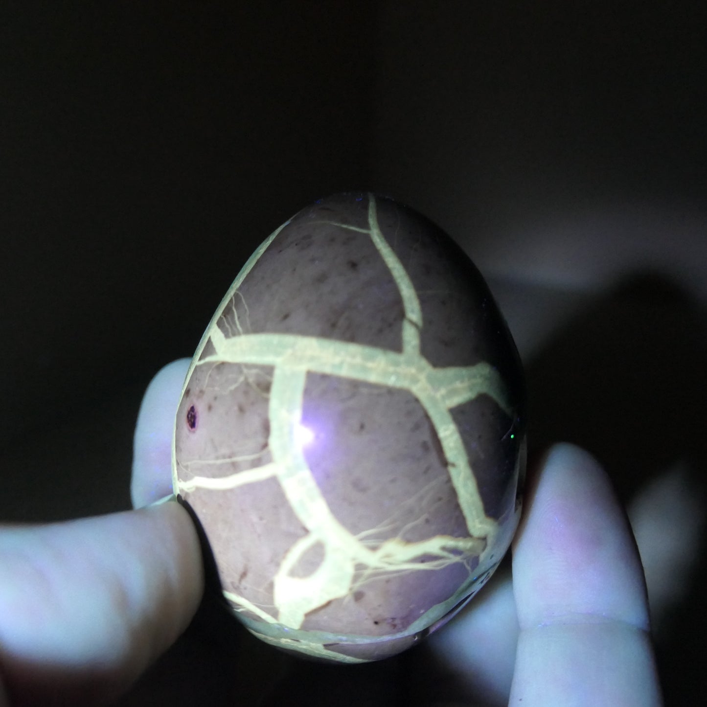 Septarian Egg - Small 01