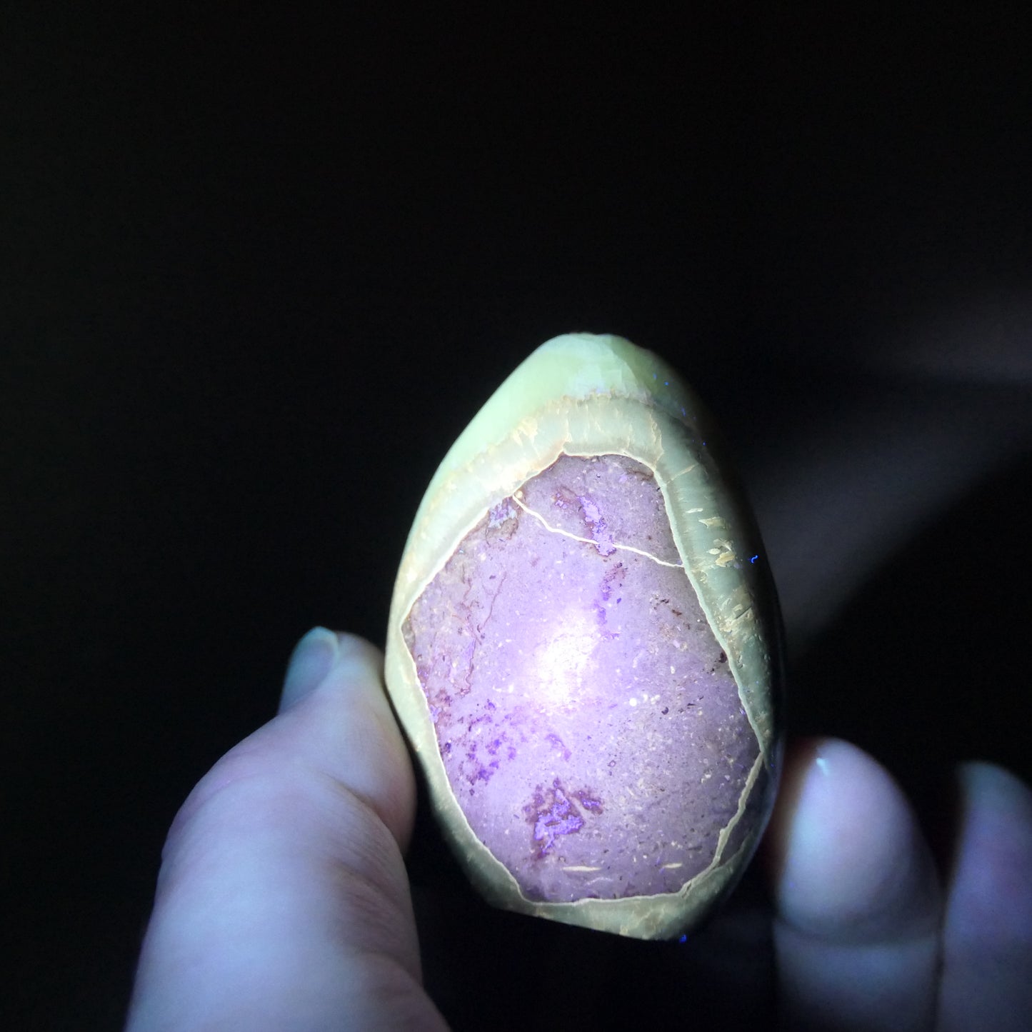 Septarian Egg - Small 02