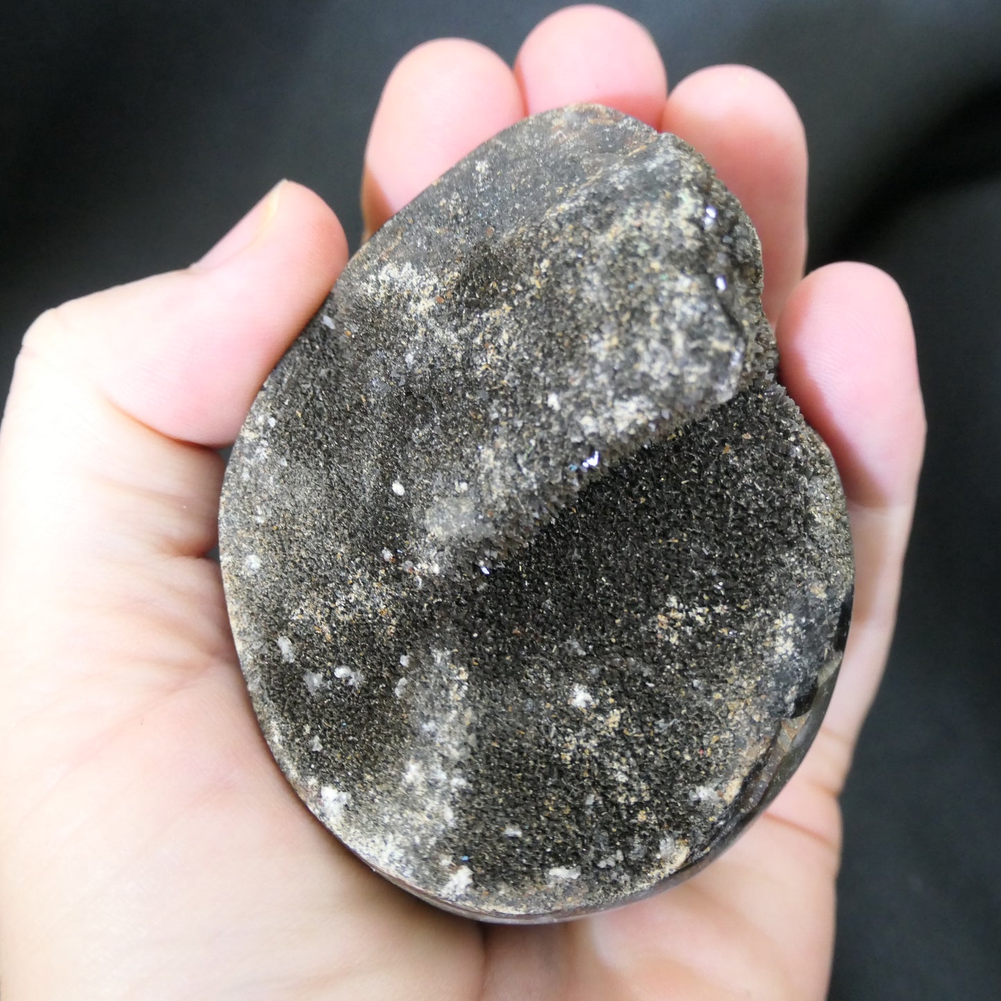 Velvet Septarian Egg - Medium 01