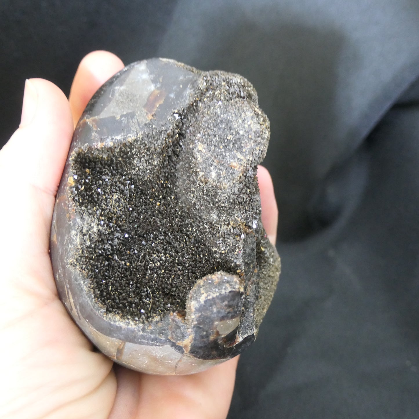 Velvet Septarian Egg - Medium 02