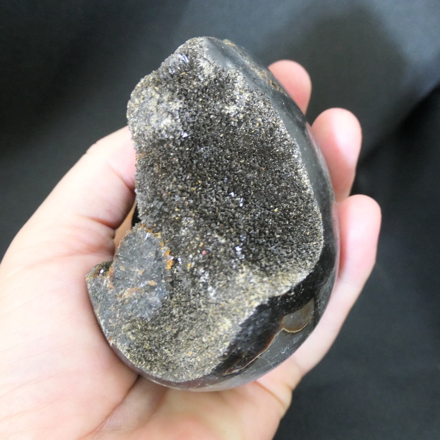 Velvet Septarian Egg - Medium 02