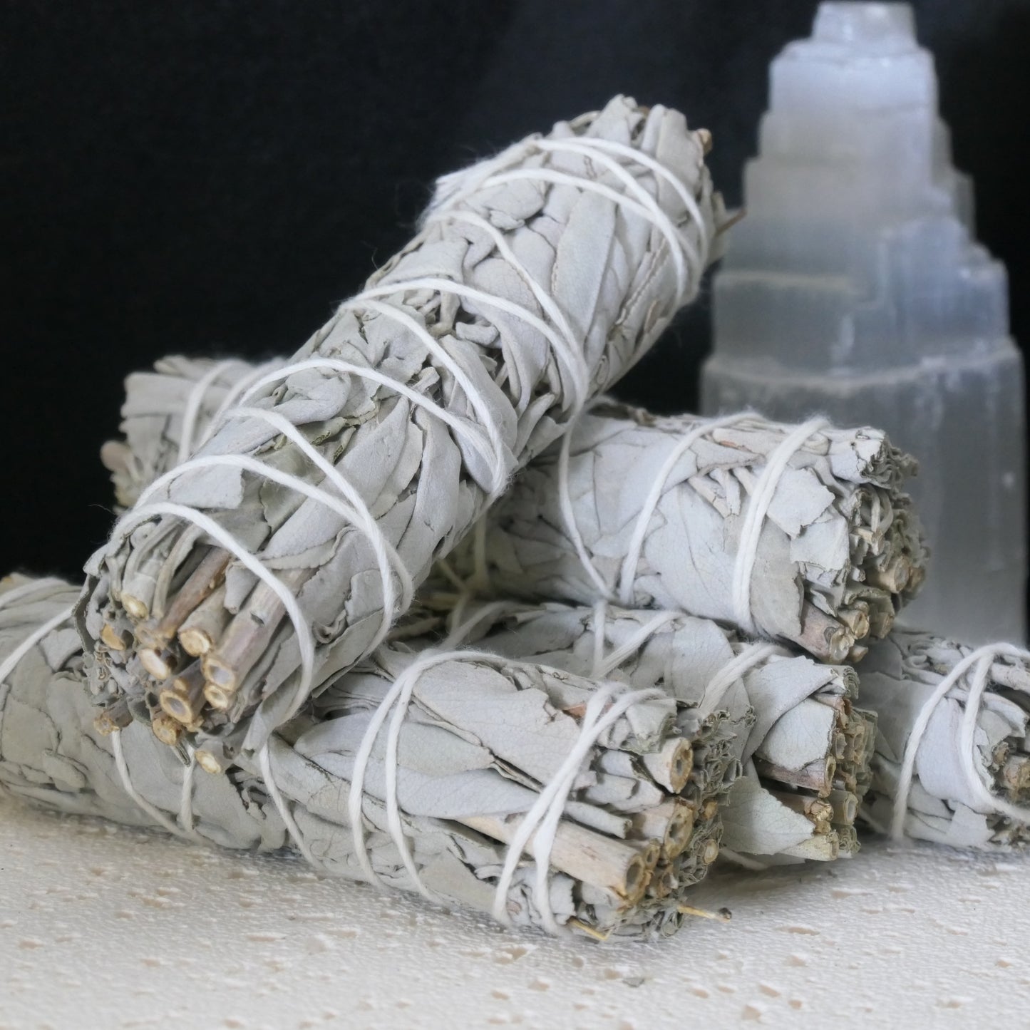 White Sage - Mini