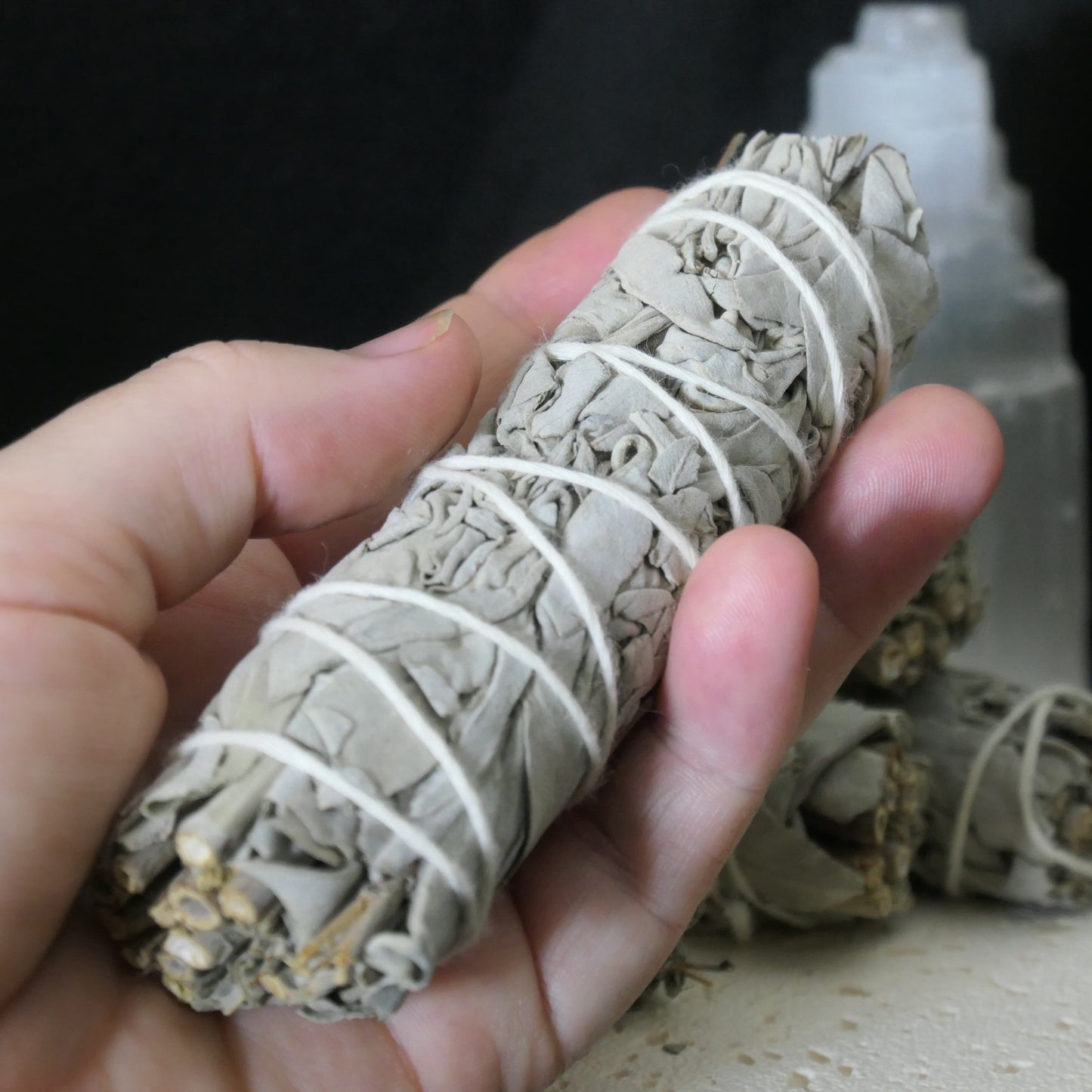 White Sage - Mini