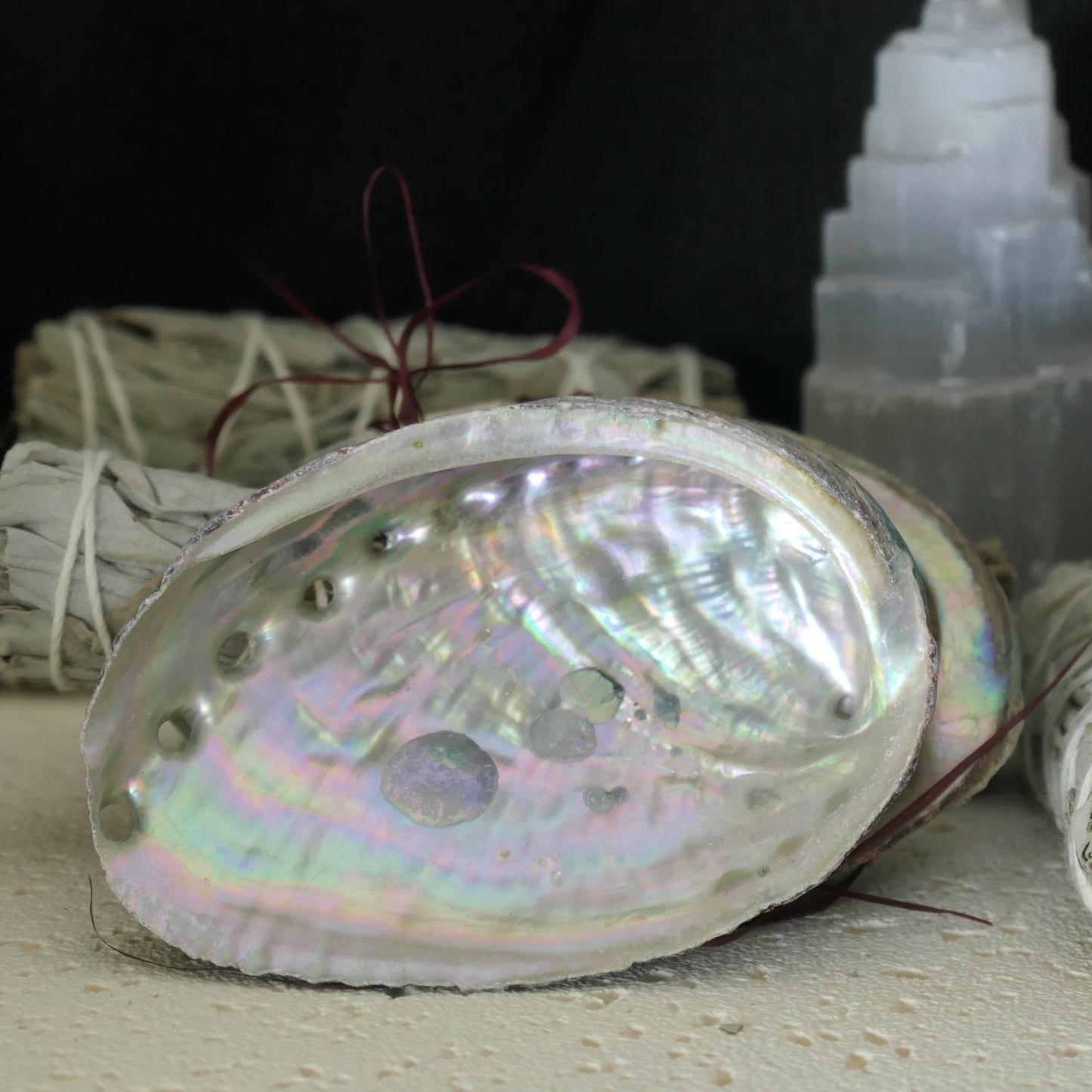 White Sage (mini) and Abalone Shell Combo