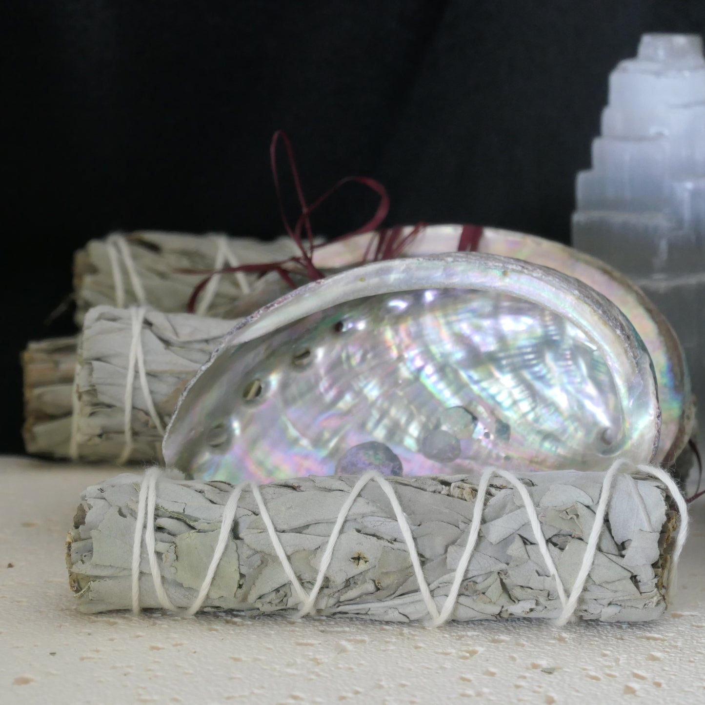 White Sage (mini) and Abalone Shell Combo