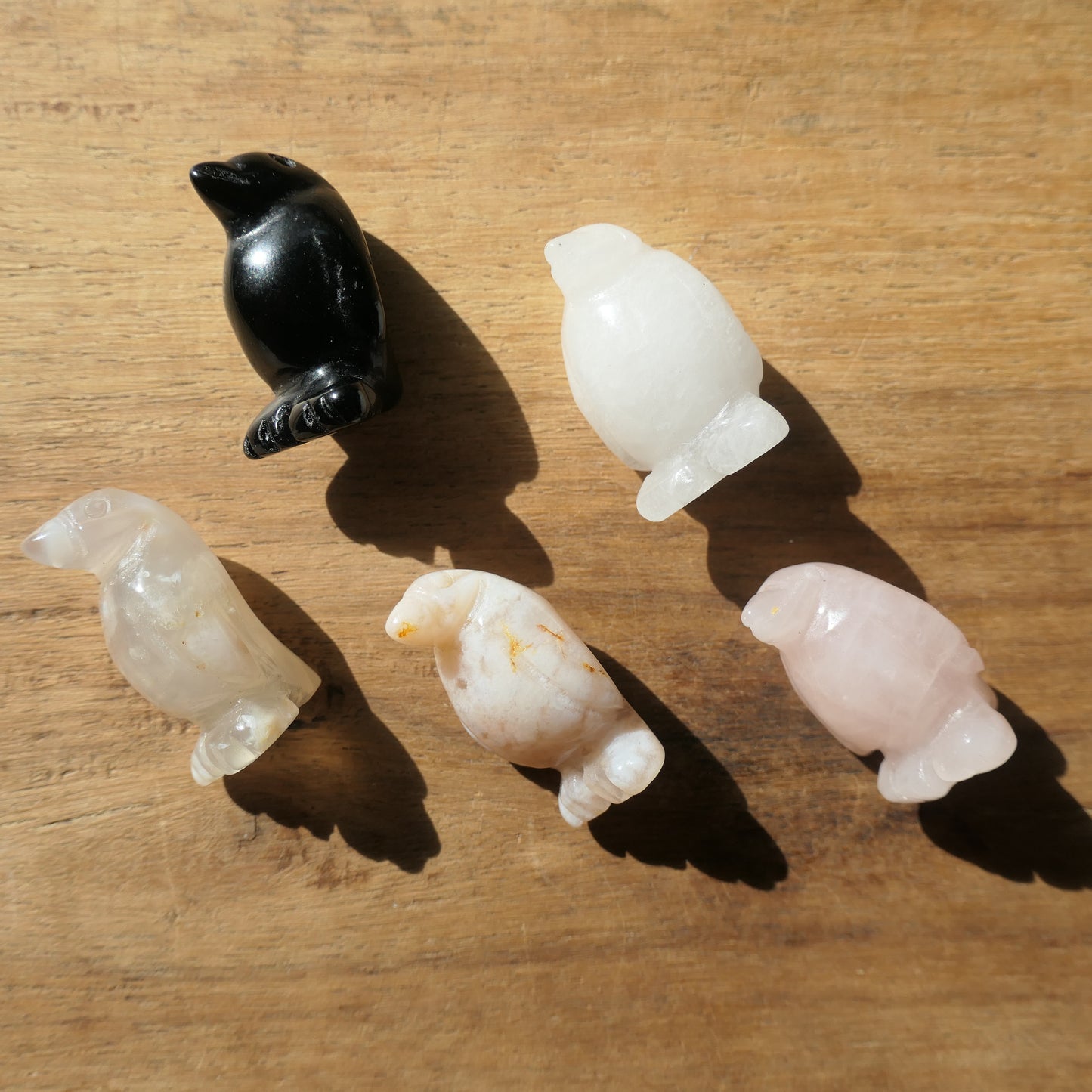 Penguin Carvings