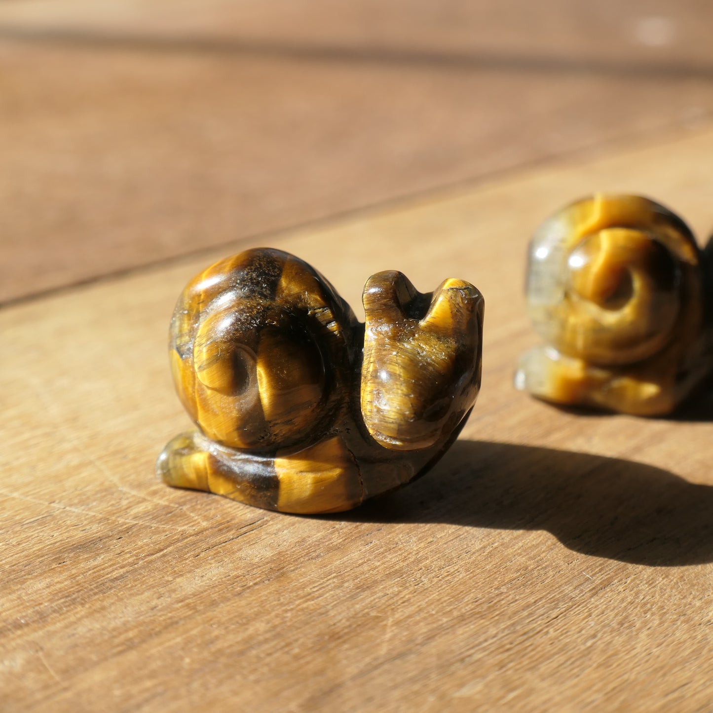 Snail Carvings
