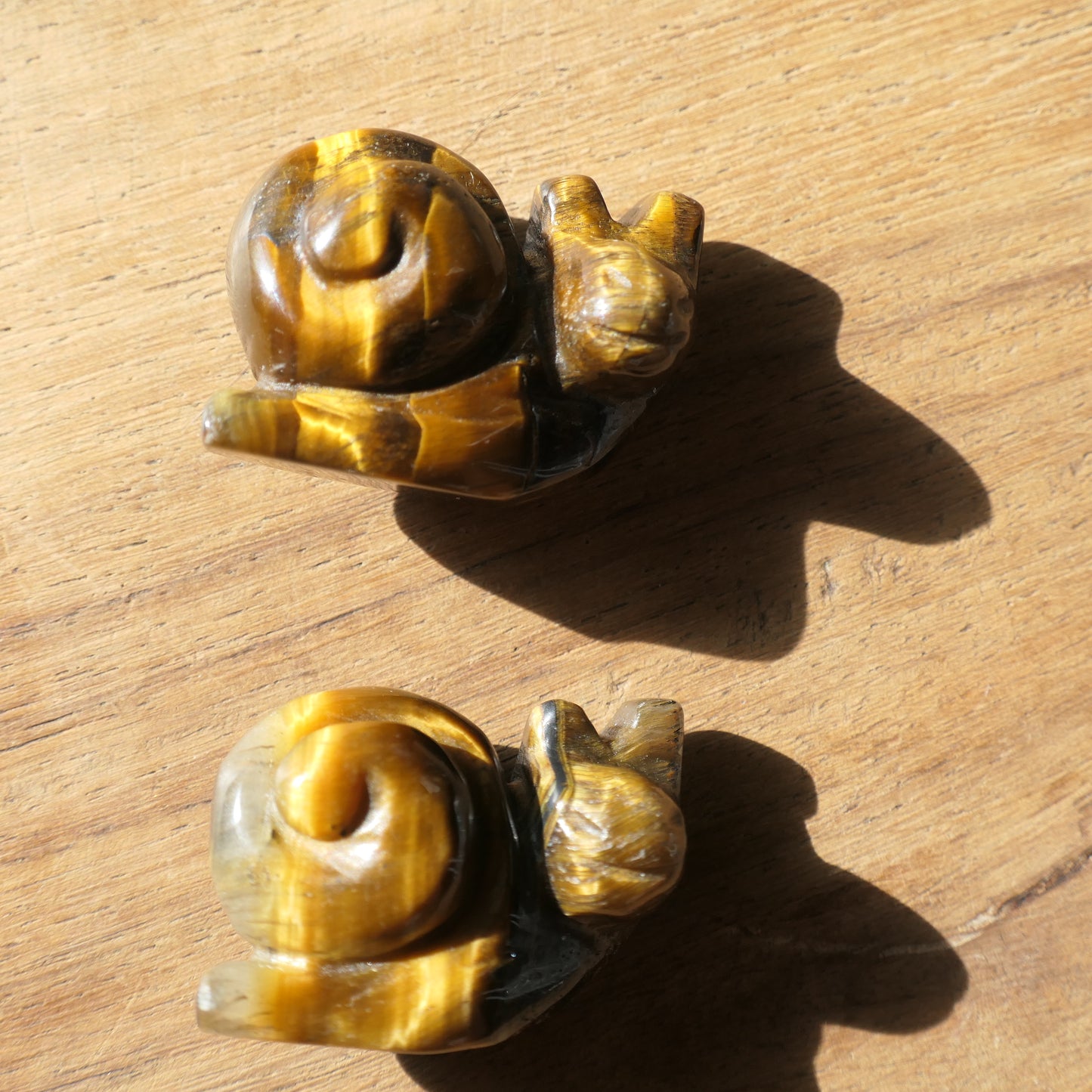 Snail Carvings