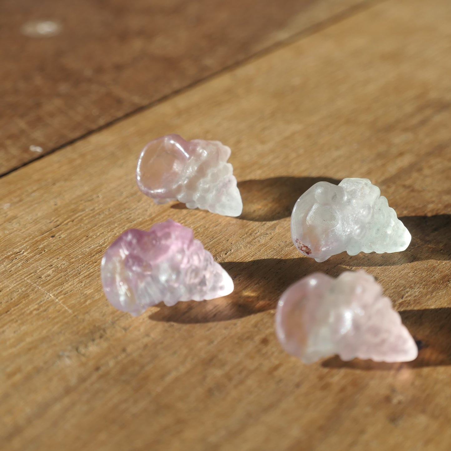 Fluorite Conch Shell - mini