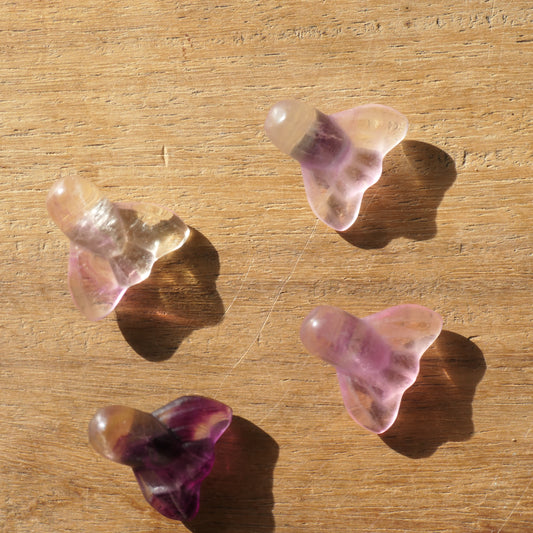 Fluorite Whale Tail - min