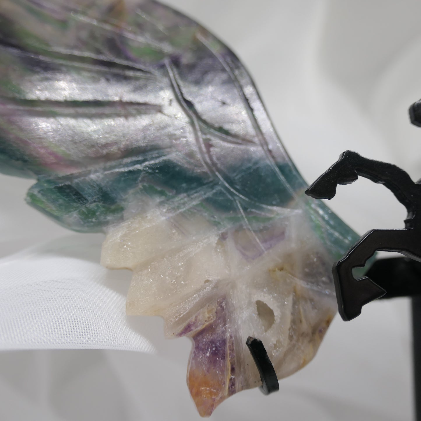 Fluorite Pegasus Wings