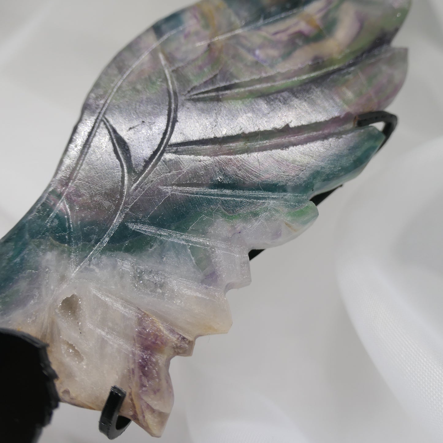 Fluorite Pegasus Wings