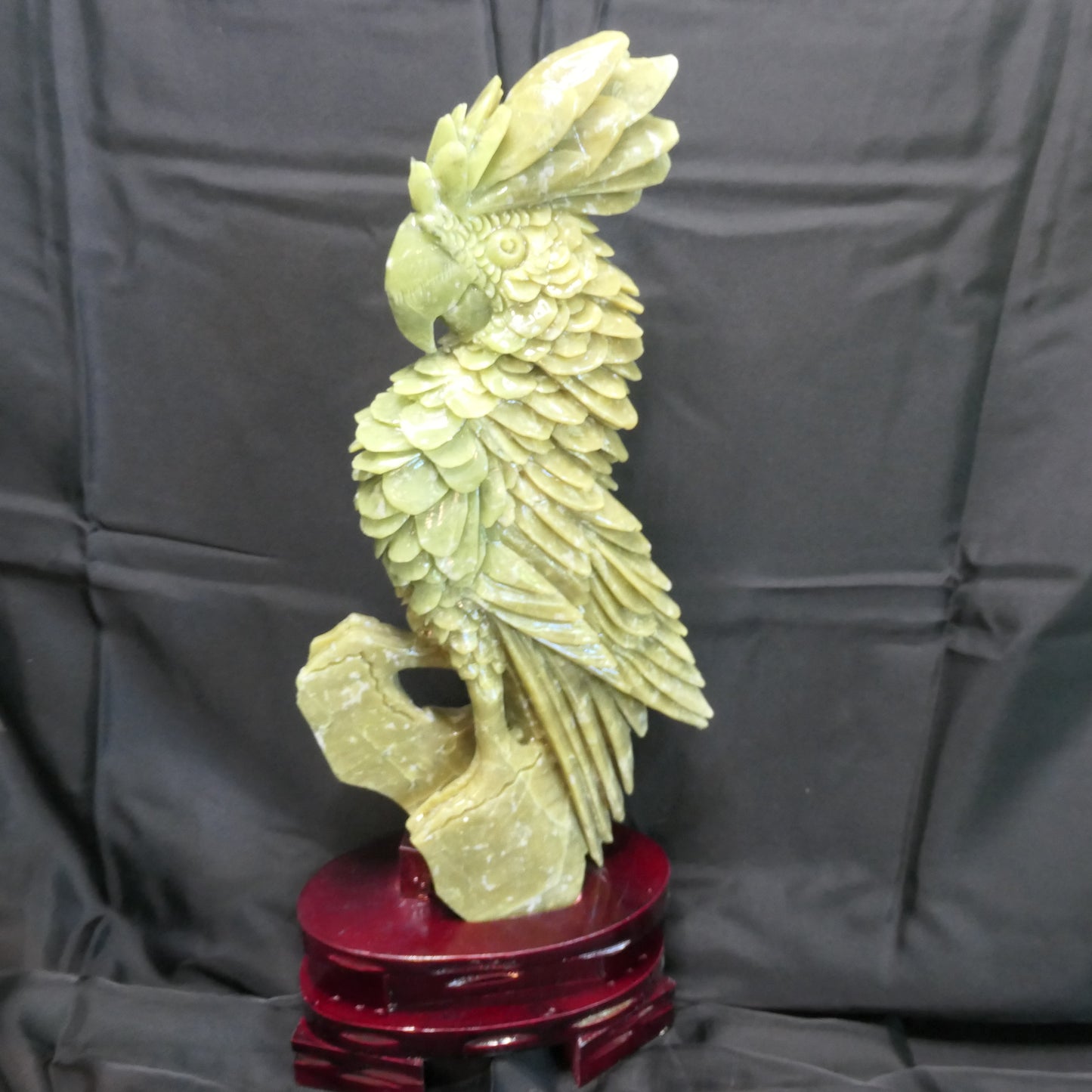 Chinese Jade Cockatoo