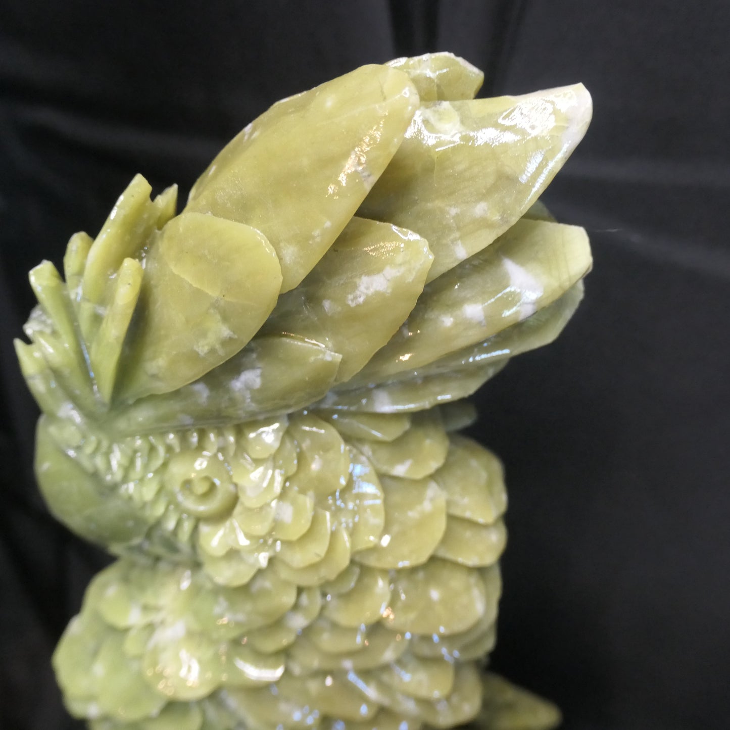 Chinese Jade Cockatoo