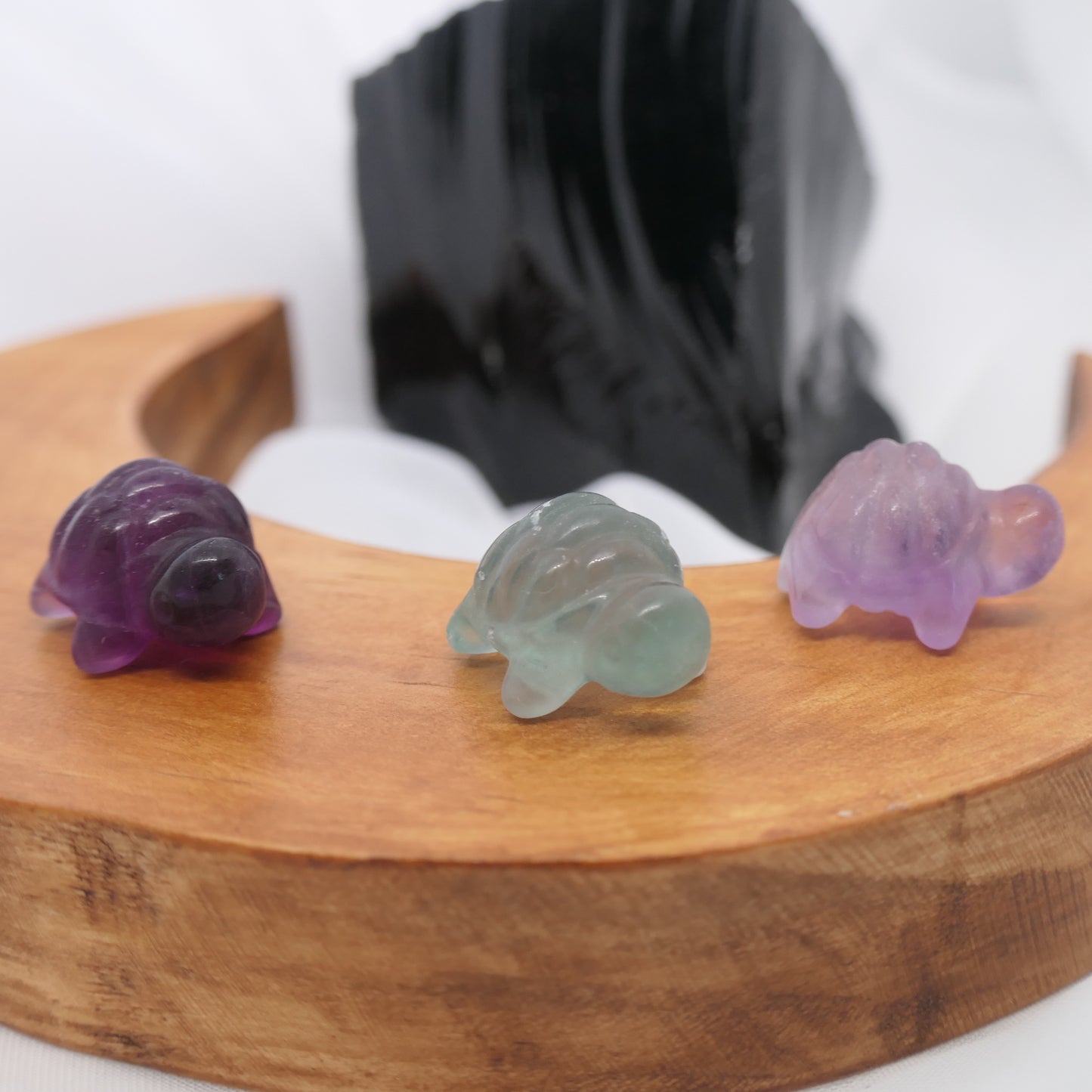 Mini Fluorite Carving Turtle