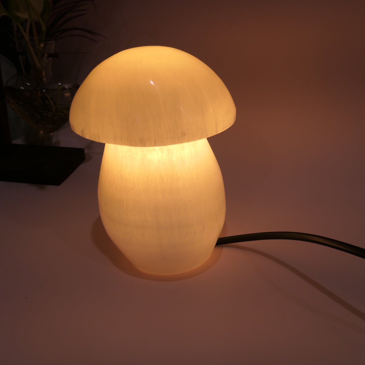 Selenite Mushroom Lamp
