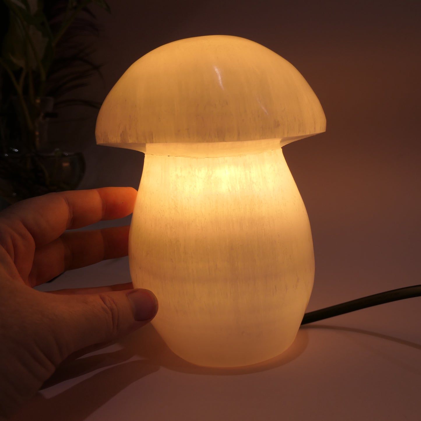 Selenite Mushroom Lamp