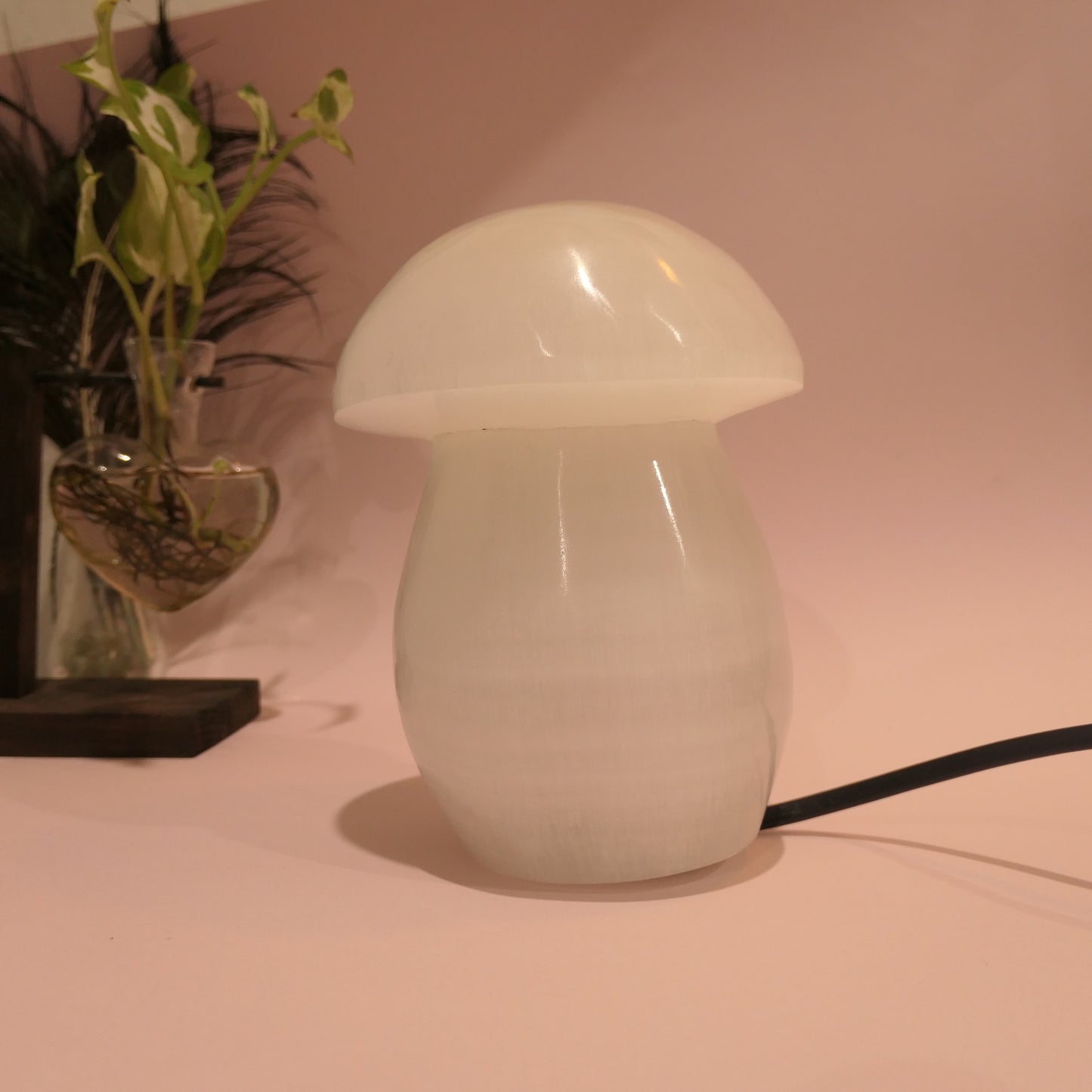 Selenite Mushroom Lamp