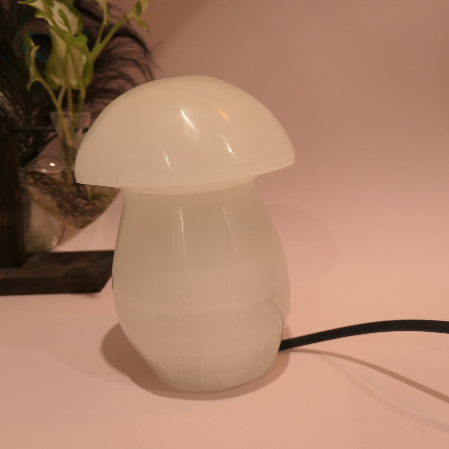 Selenite Mushroom Lamp