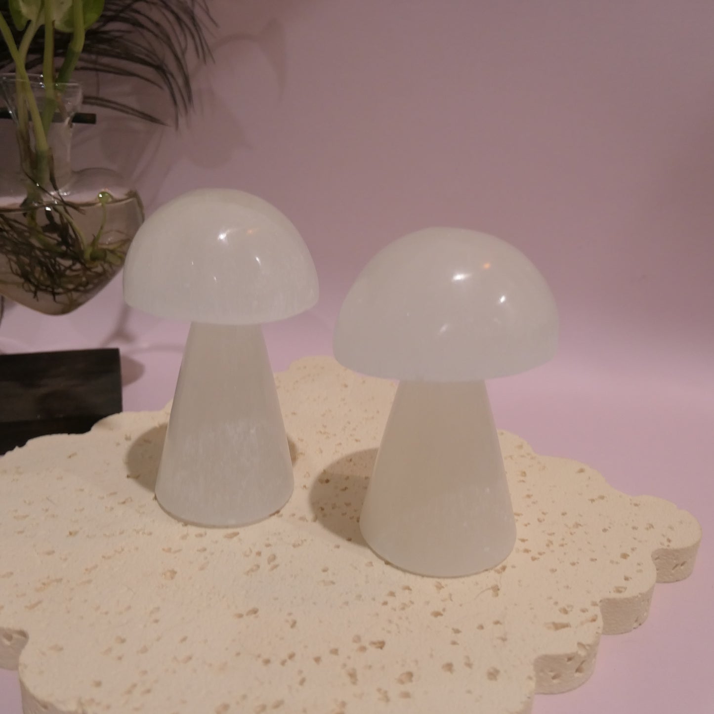Selenite Mushroom Carving