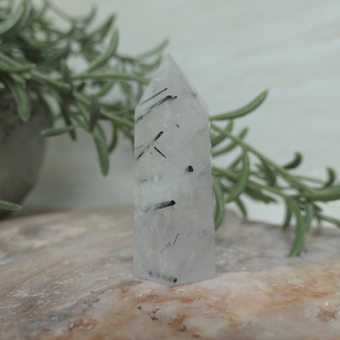 Tourmaline in Quartz Tower #2