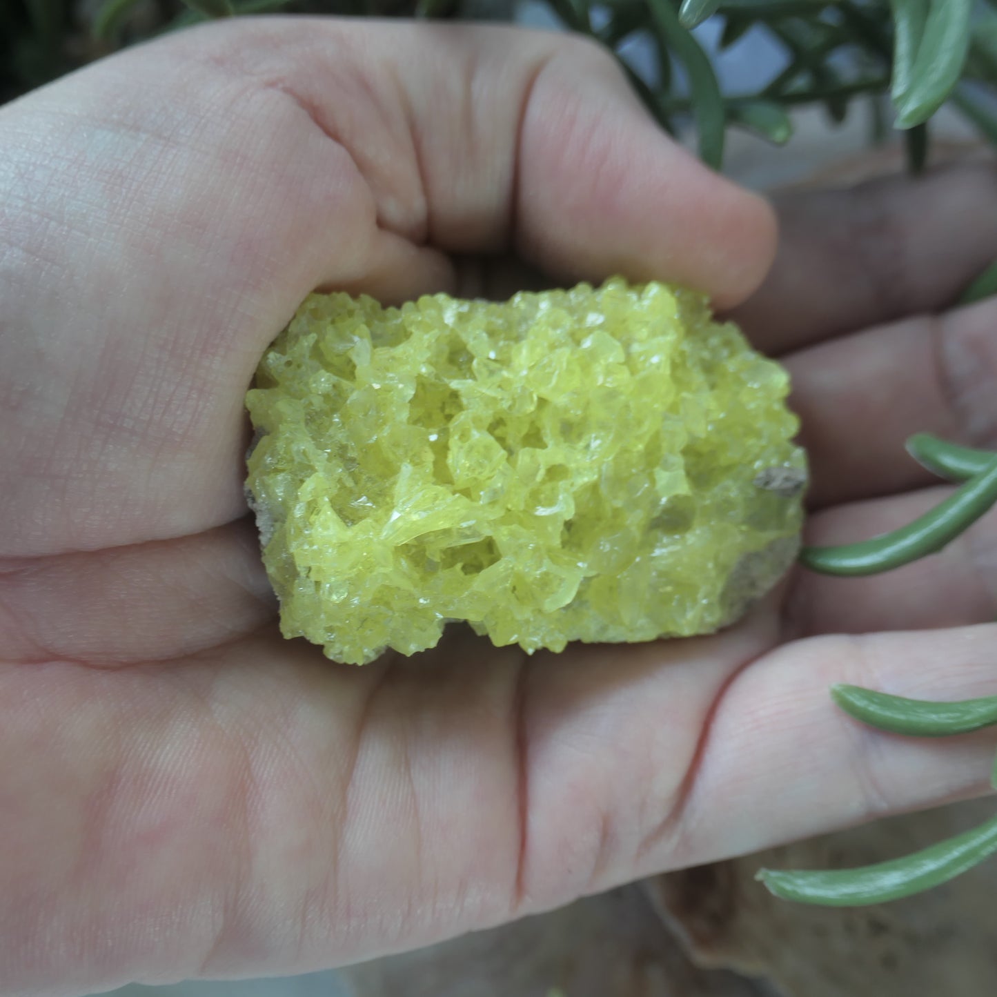 Sulphur Cluster #3 on Matrix