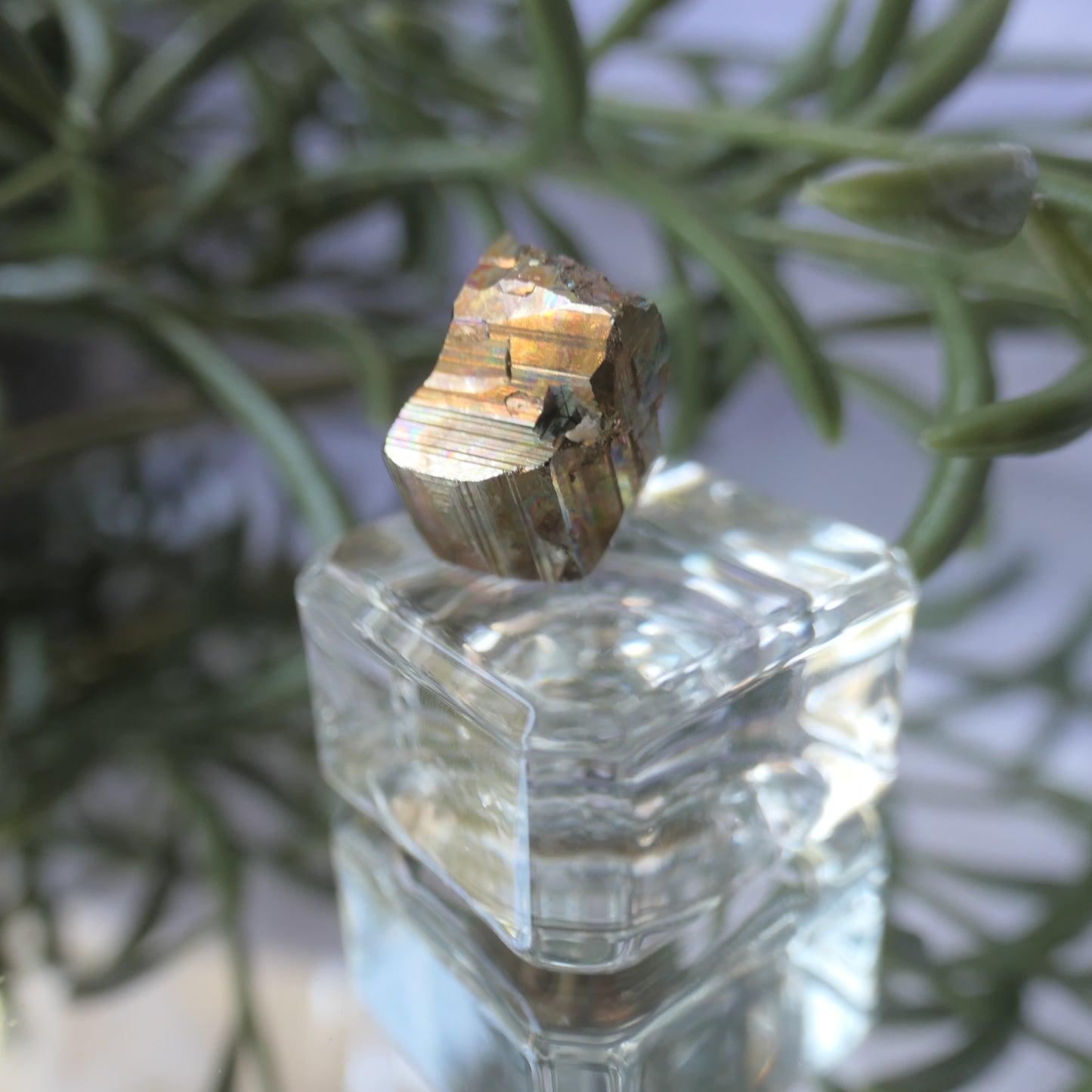 Vera Cruz Pyrite Small #3