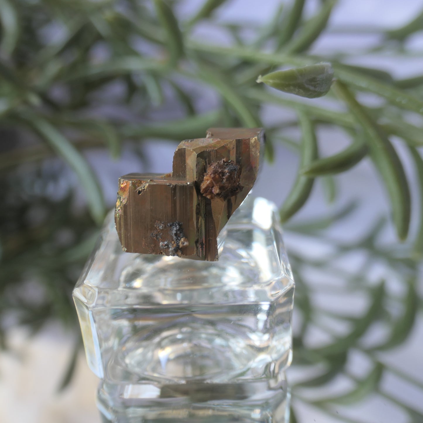 Vera Cruz Pyrite Small #6